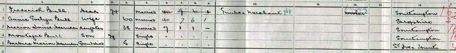 1911 census bull